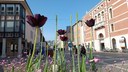 Una mattinata sotto il sole splendente di primavera in piazza a Pordenone. Foto di Angela Chiddemi @angelachiddemi (11/04/2024)