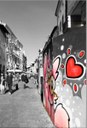 Foto di Anna Palazzi @annapalazzi73 (6/02/2024)