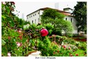 Parco Galvani Scopri l'incantevole Sentiero delle Rose. Foto di Paolo Celante @paolo762 (18/10/2022)