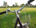Foto Umberto Chalvien