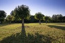 Parco Martiri delle foibe_gelsi