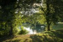 Parco Martiri delle foibe_laghetto