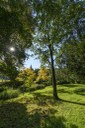 Parco Querini_prato alberato