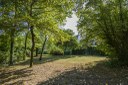 Parco Reghena_alberi