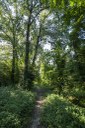 Parco Reghena_sentiero